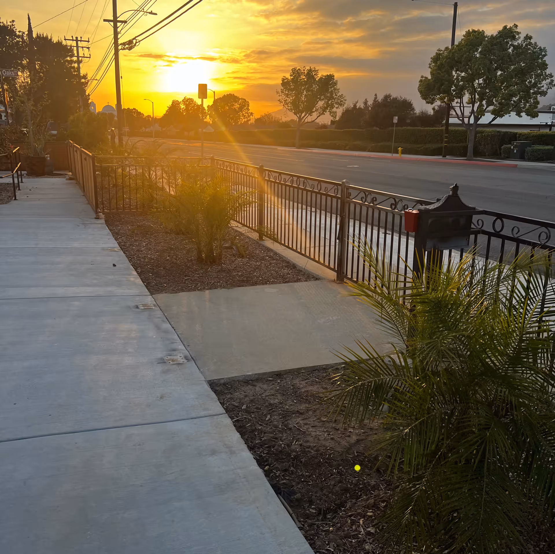 Sidewalk next to a street with a metal fence and small plants along the edge during a sunset with orange and yellow hues in the sky.