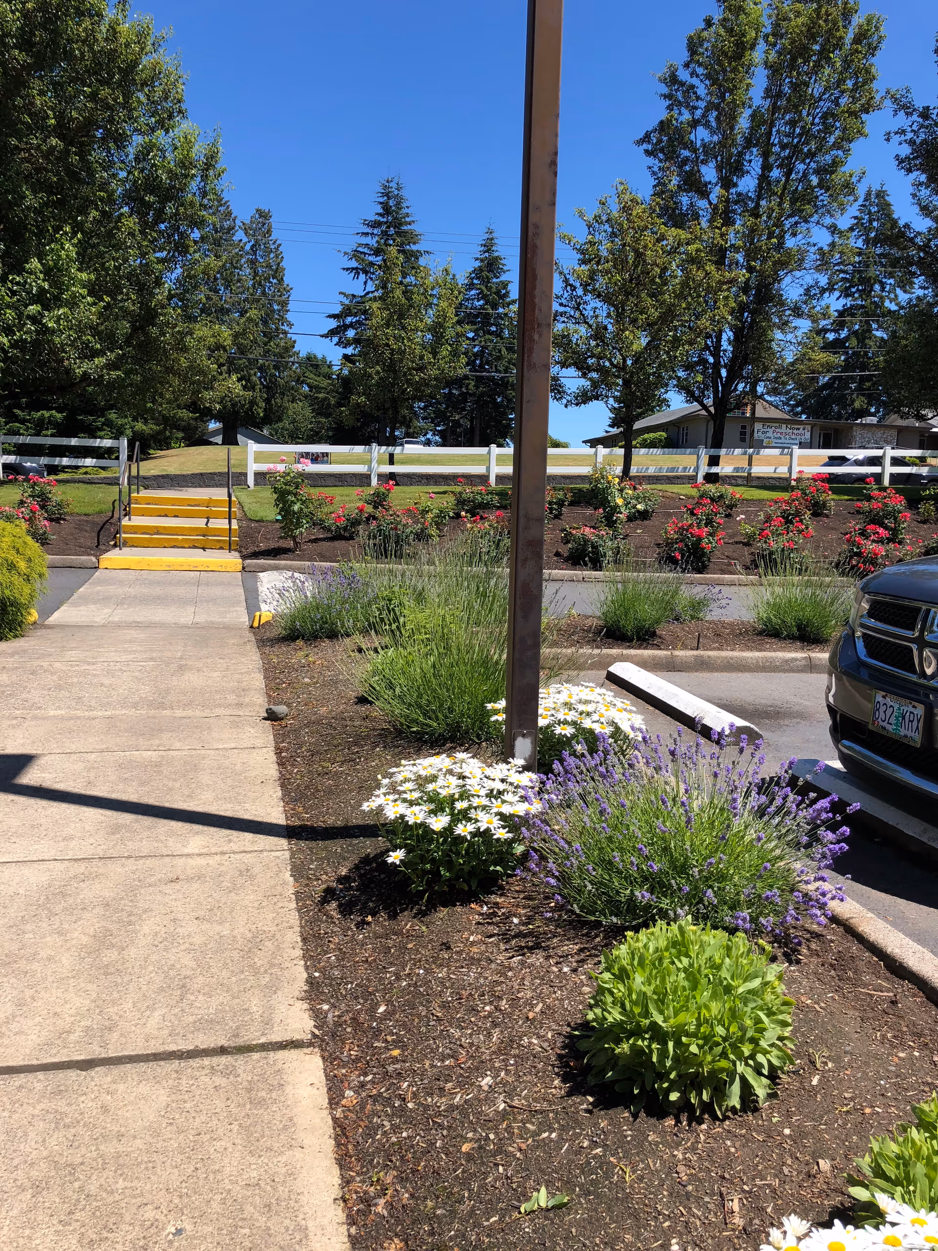 Sidewalk and landscaped flower beds leading to yellow steps with a parking area, white fence and trees under a clear blue sky.