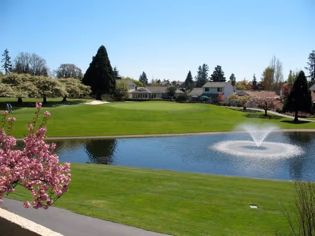 A scenic outdoor view featuring a well-maintained green lawn, a pond with a water fountain, blooming pink flowers on a tree in the foreground, and several trees and houses in the background under a clear blue sky.