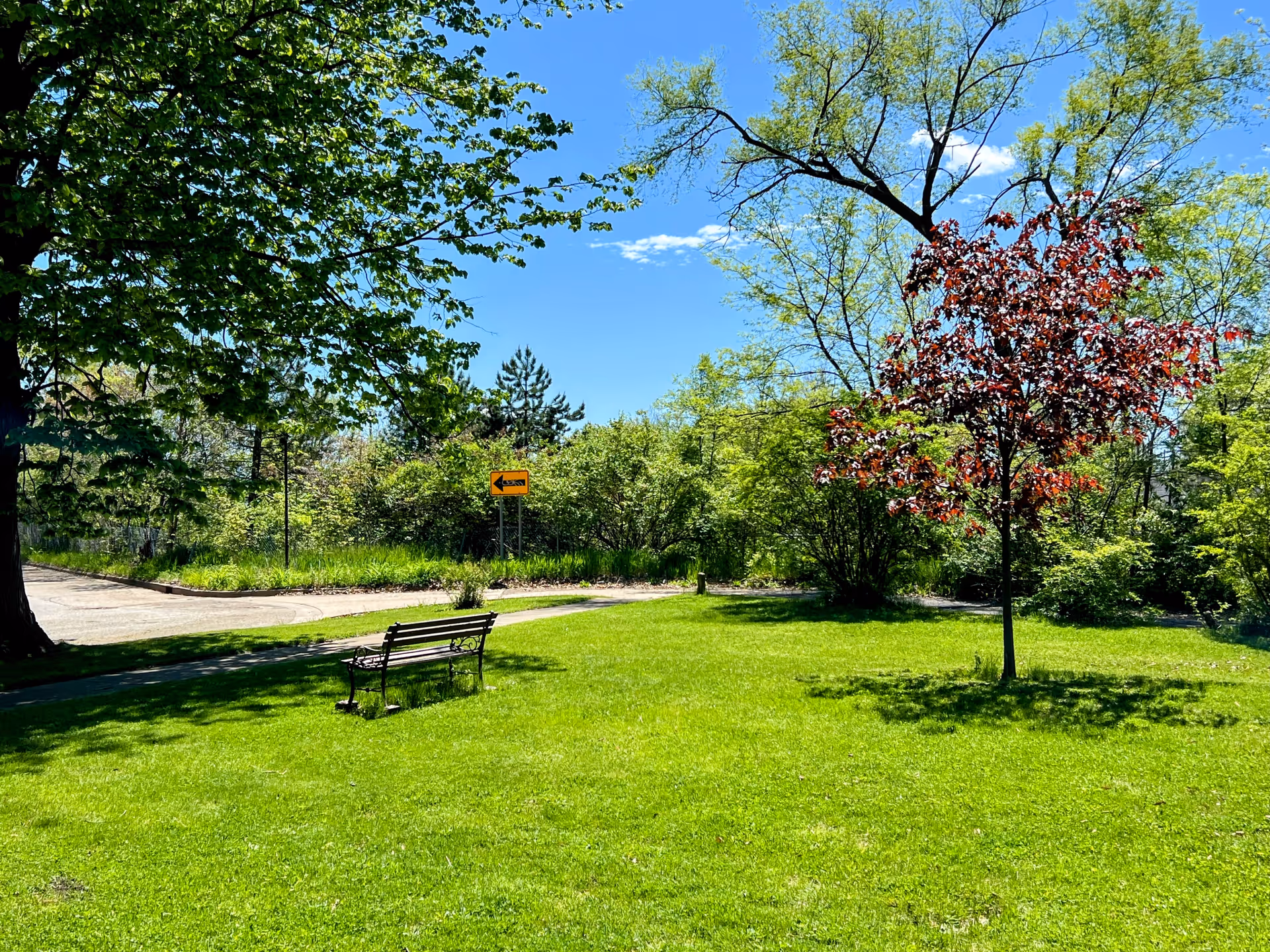 A sunny outdoor garden area with a green lawn, a bench, and several trees including one with red leaves. A paved path curves through the greenery and a yellow road sign with a left arrow is visible in the background under a clear blue sky.