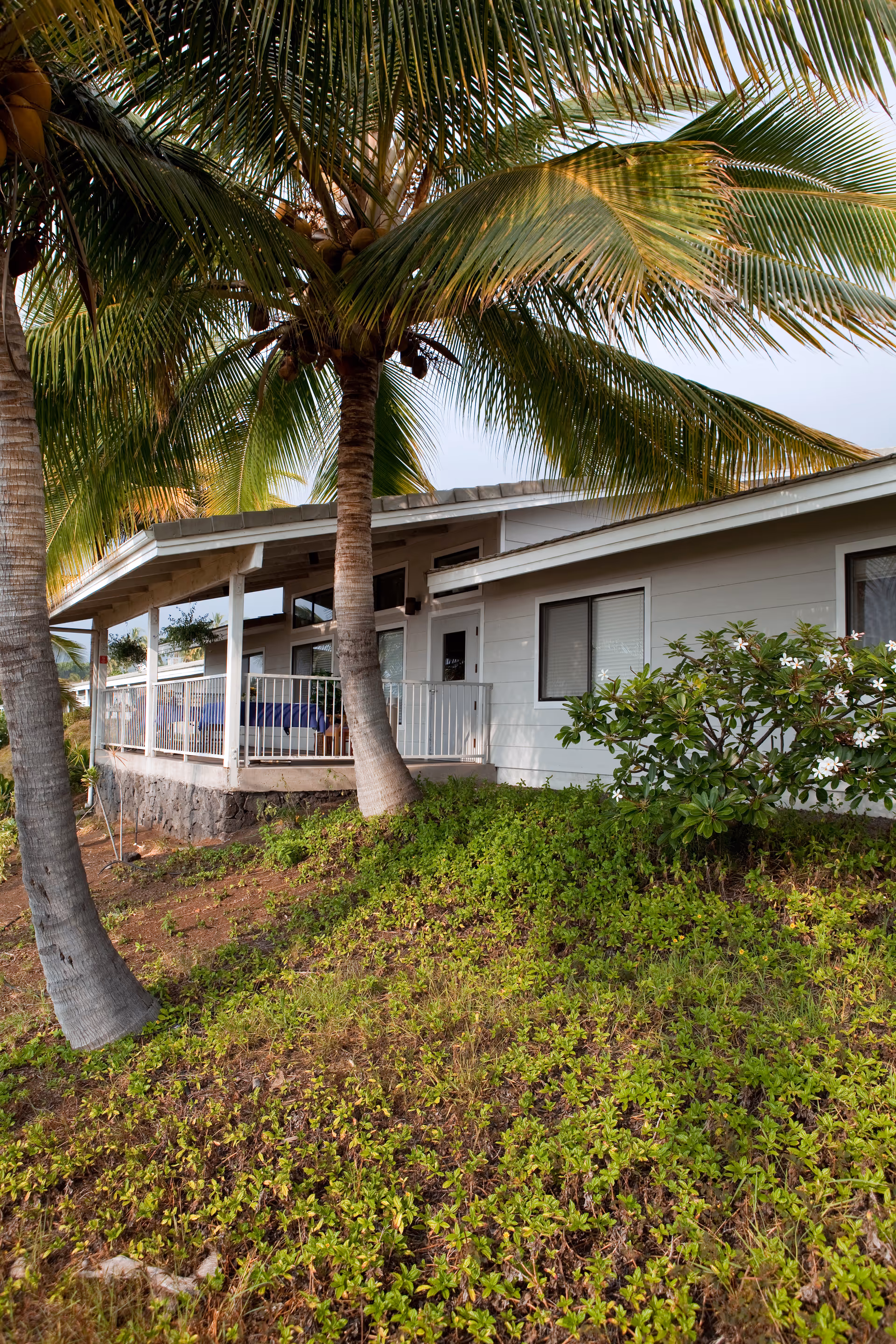 White single-story building with a covered porch and palm trees on a grassy slope.