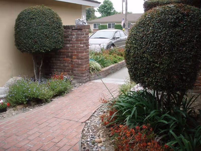 A brick pathway bordered by neatly trimmed bushes and various plants leads to a driveway where a silver car is parked. The scene includes a brick pillar and a beige building wall on the left side, with a residential neighborhood visible in the background.