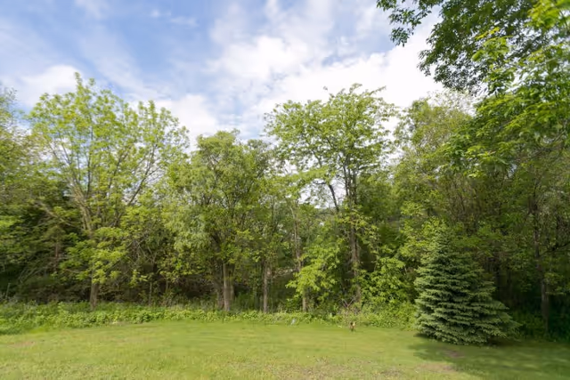 A grassy outdoor area with a variety of green trees and shrubs under a partly cloudy sky.