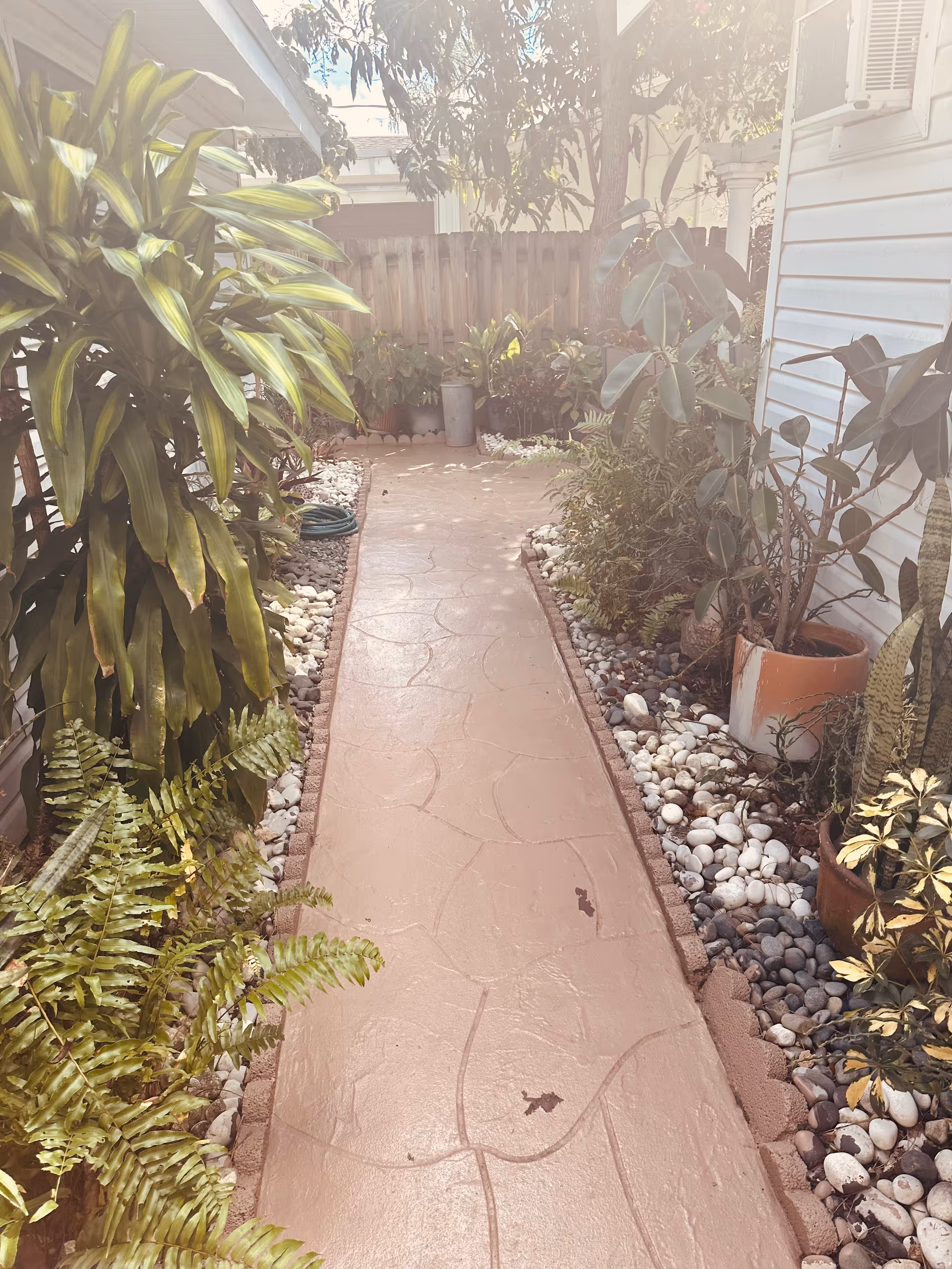 A narrow outdoor walkway with a textured concrete path bordered by small white and gray rocks. On both sides of the path, there are various green plants and potted plants. A wooden fence is visible at the end of the path, and sunlight filters through the trees above.