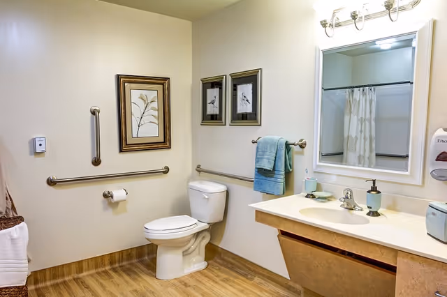 A clean and accessible bathroom with a toilet, grab bars on the walls, a towel rack with a blue towel, a sink with soap dispenser and toothbrush holder, a mirror above the sink, and framed artwork on the walls. The floor has a wood-like finish and the walls are light-colored.