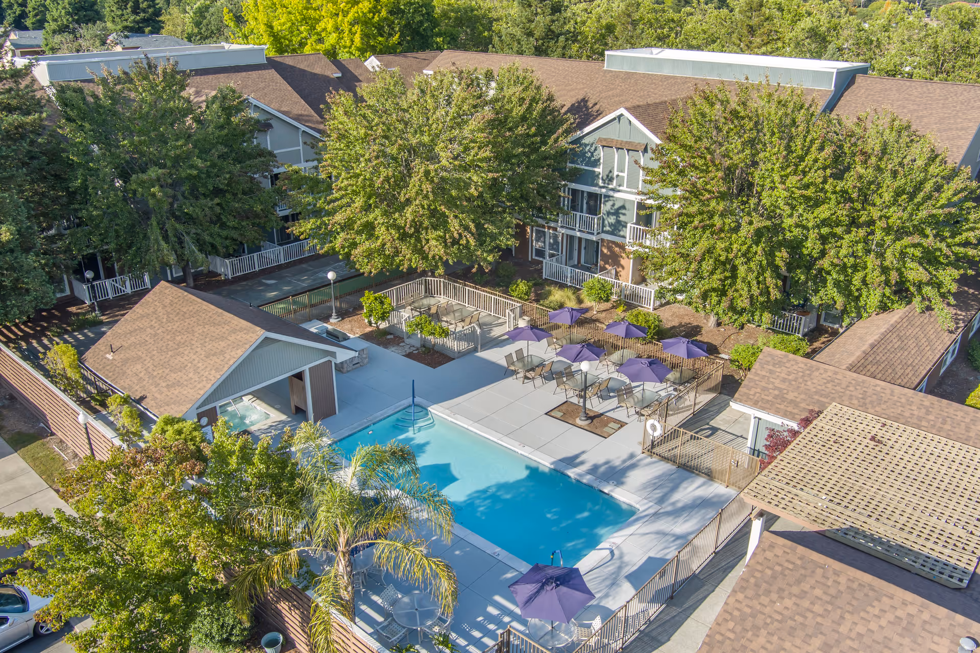 Aerial view of an outdoor swimming pool area at Brookdale Paulin Creek, surrounded by patio tables with purple umbrellas, lounge chairs, trees, and adjacent buildings with brown roofs.