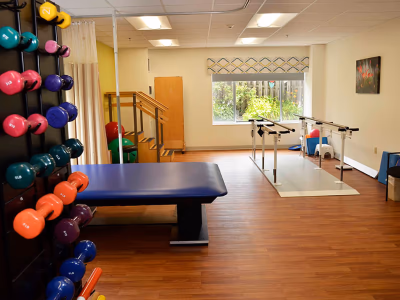 Physical therapy room with parallel bars, a blue treatment table, and a rack of colorful dumbbells.