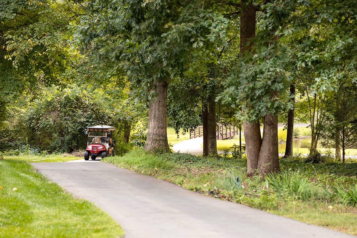 A red golf cart parked on a paved path surrounded by trees and greenery with a small bridge and pond visible in the background.
