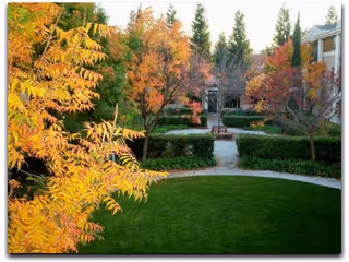 Courtyard with a green lawn, winding pathways, autumn-colored trees and surrounding residential buildings.
