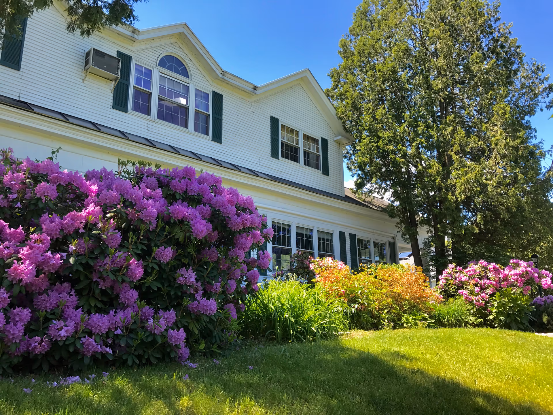 Exterior view of a white two-story building with green shutters, surrounded by lush green grass, blooming purple and pink flowers, and tall trees under a clear blue sky.