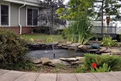 A small landscaped garden area with a pond featuring a water fountain surrounded by rocks and plants. In the background, part of a building with windows and a white fence is visible.