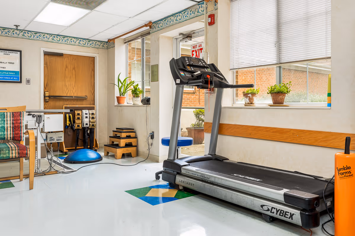 Small exercise/therapy room with a Cybex treadmill, balance equipment, chairs, and potted plants by a window.