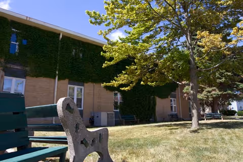 Outdoor view of a building partially covered with green ivy, with a grassy area in front featuring a green bench and several trees under a clear blue sky.