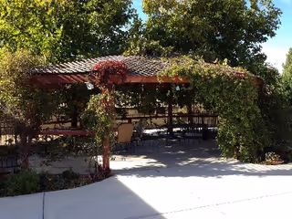 Shaded outdoor gazebo covered in climbing vines with patio tables and chairs surrounded by trees.