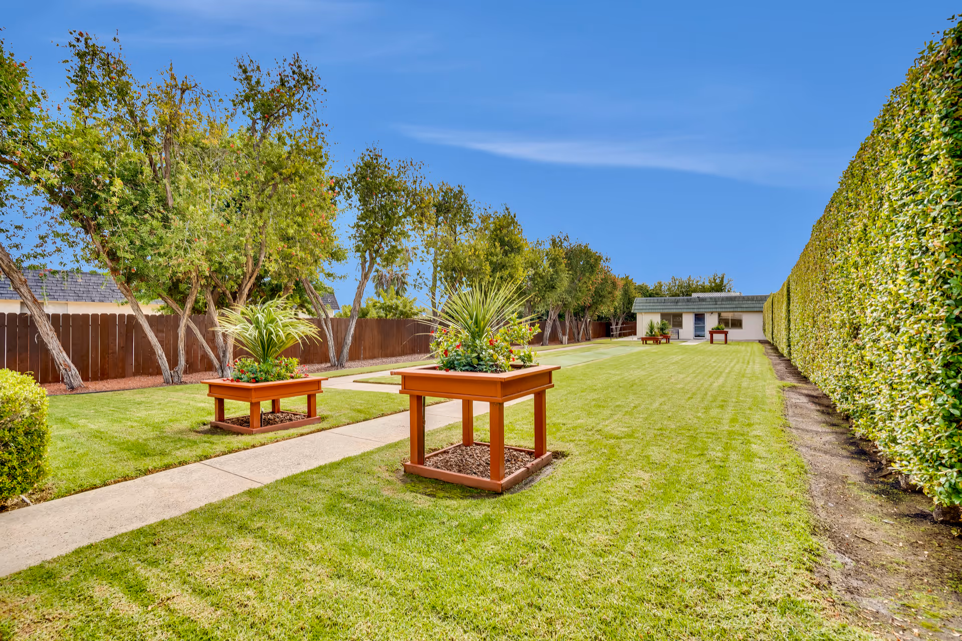 A well-maintained outdoor garden area with a neatly trimmed lawn, a concrete pathway, and several raised wooden planters filled with green plants and flowers. The garden is bordered by a tall hedge on the right and a wooden fence with trees on the left. In the background, there is a small white building with a green roof.