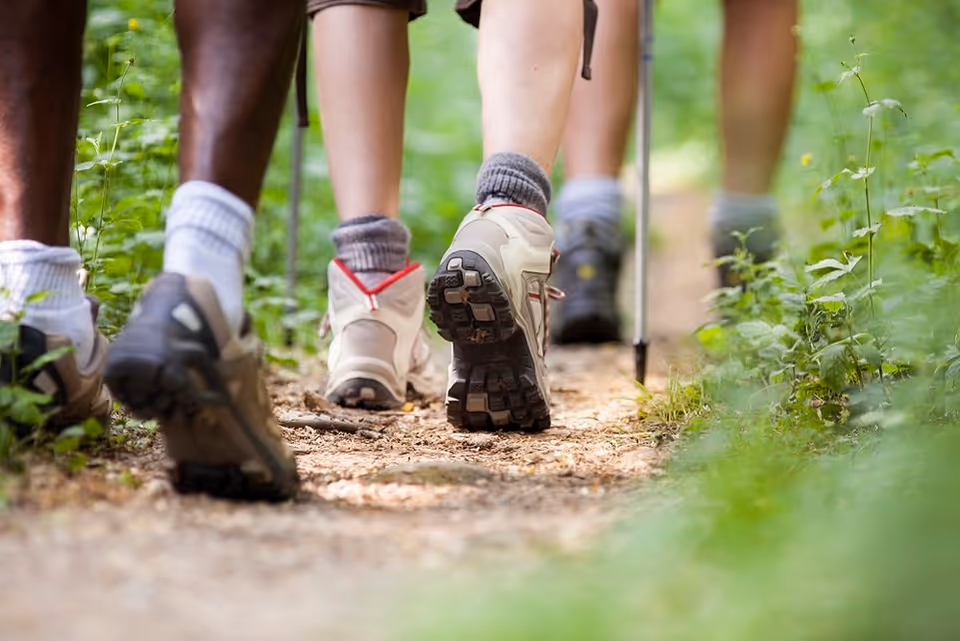 Close-up of several people’s lower legs and hiking shoes as they walk along a wooded trail.