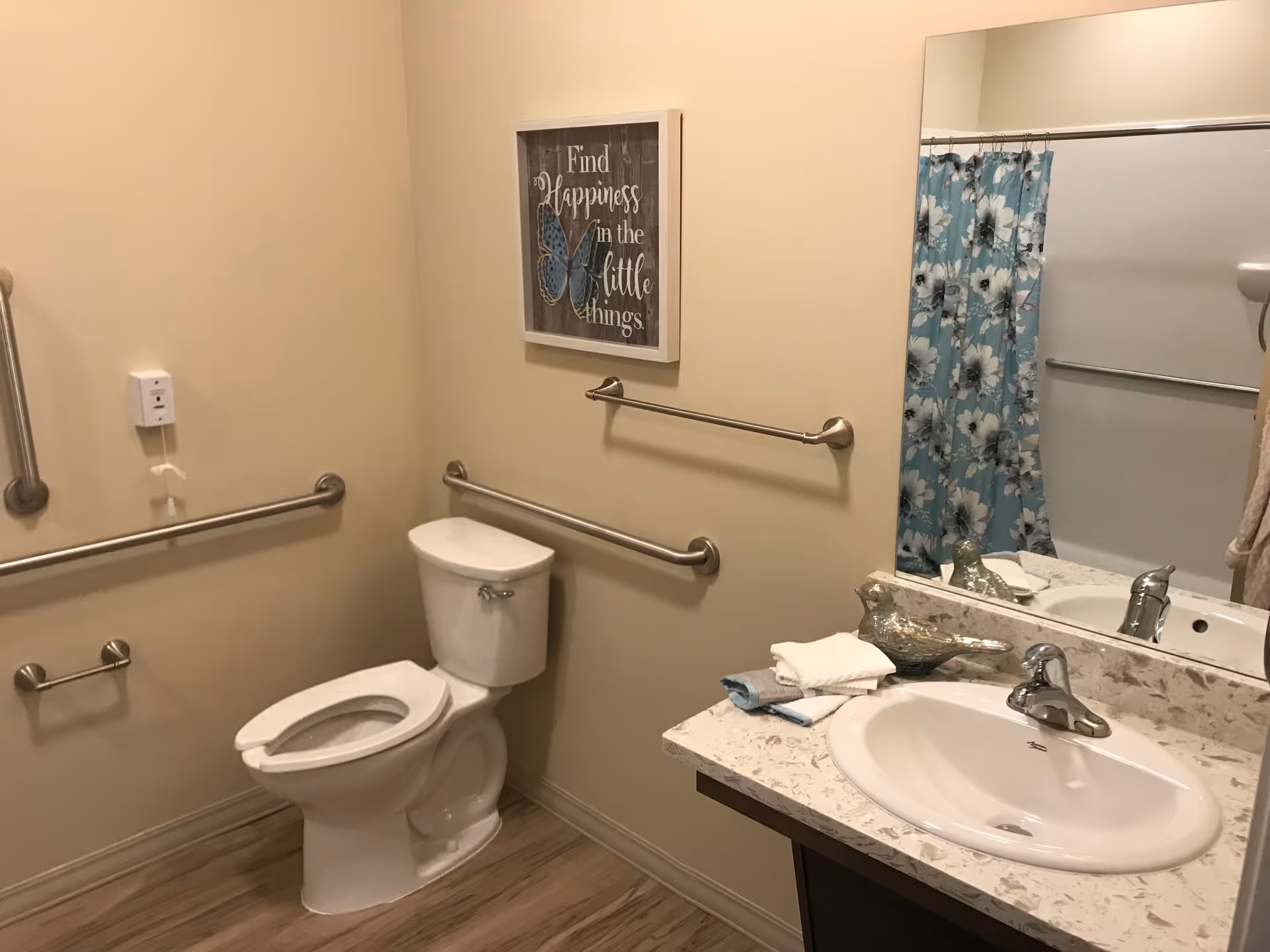 Accessible bathroom with a toilet, multiple grab bars, a sink and mirror, and a shower with a floral curtain.