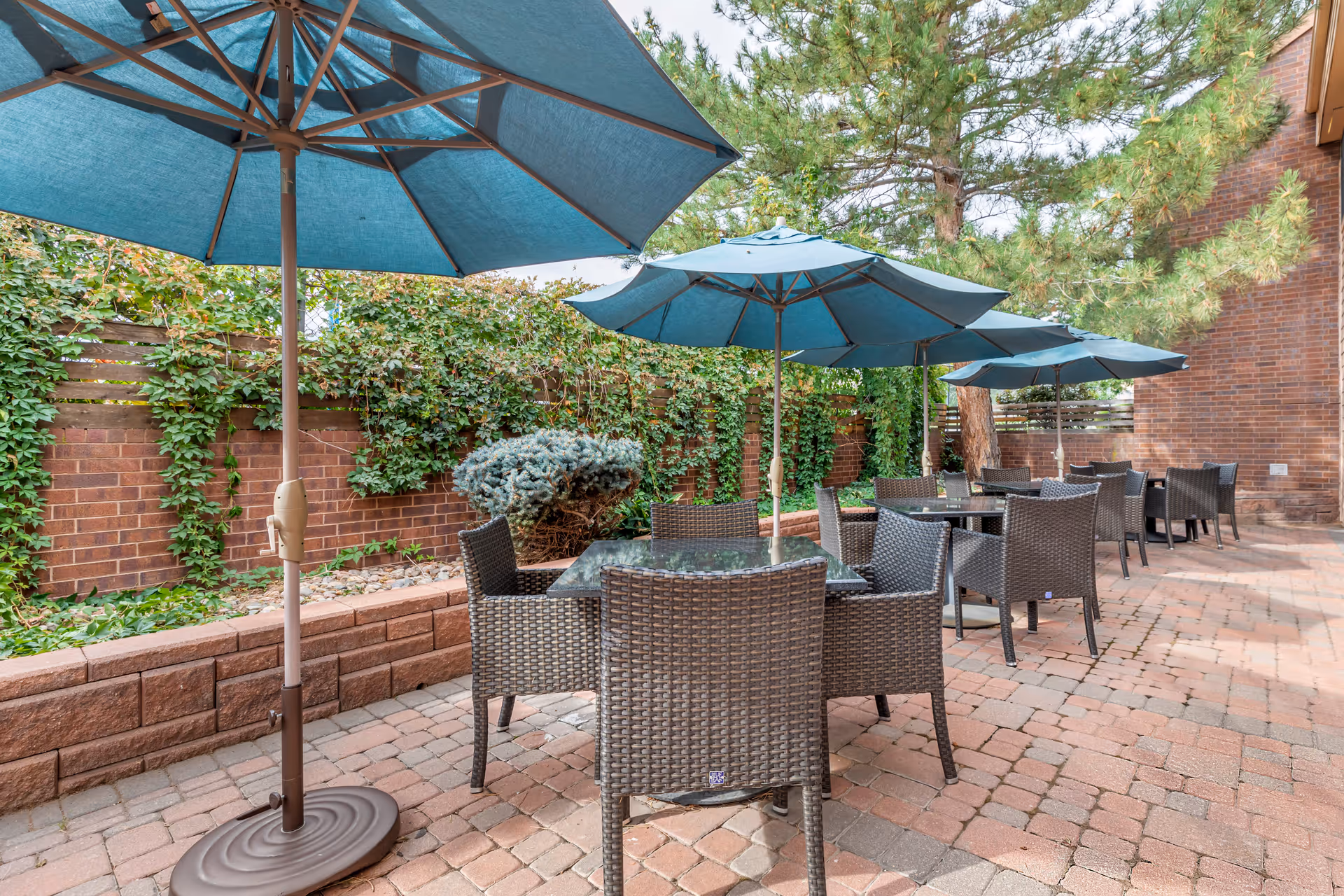 Outdoor patio area with several tables and wicker chairs under large blue umbrellas, surrounded by brick walls and greenery including ivy and trees.