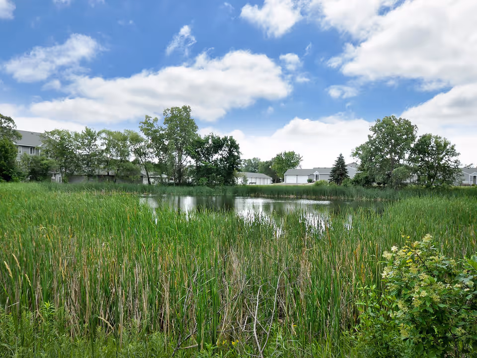 A scenic outdoor view featuring a small pond surrounded by tall green grasses and trees under a partly cloudy blue sky. Residential buildings are visible in the background.