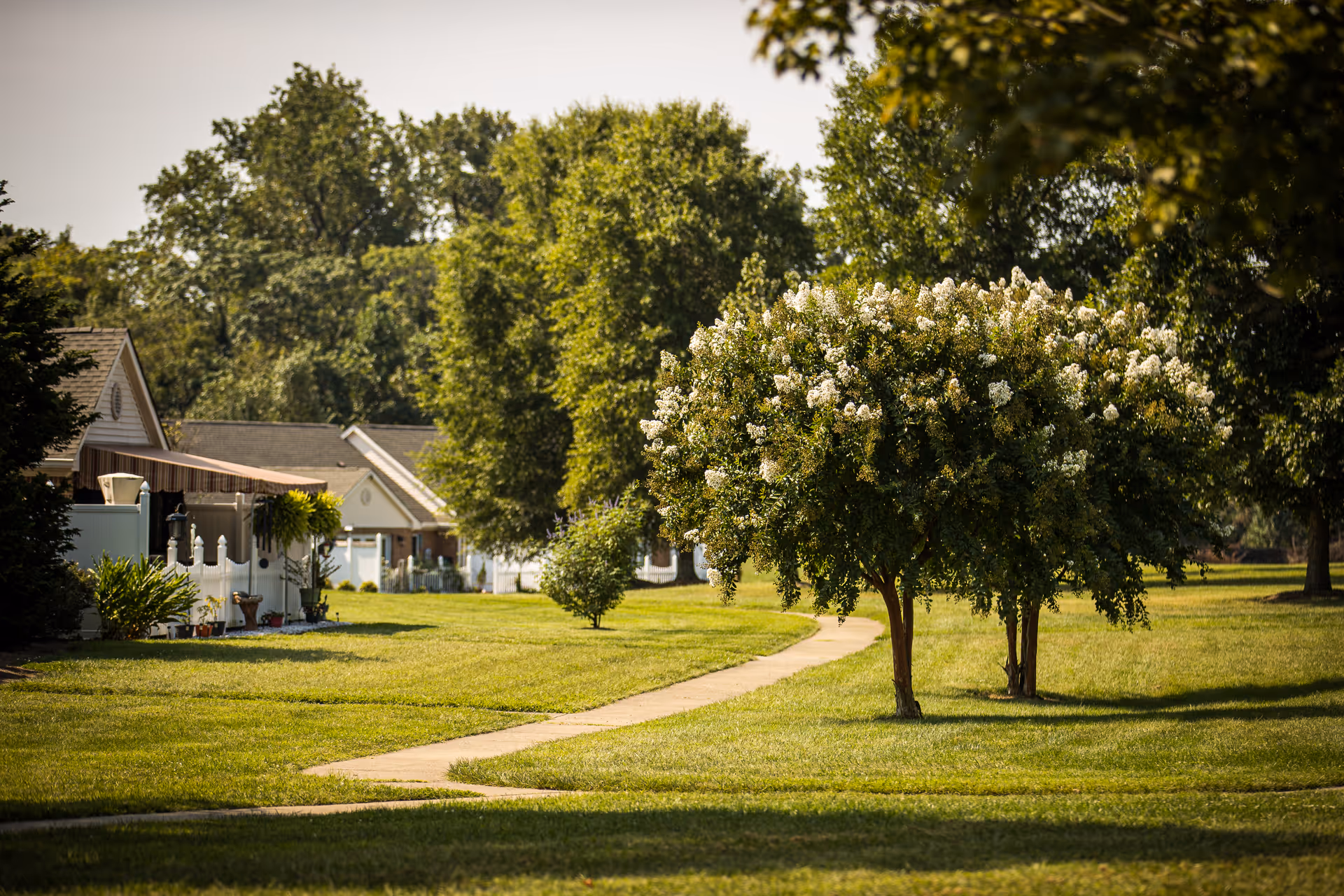 A scenic outdoor view of a senior living facility with a paved walkway winding through a well-maintained grassy area. There are small trees with white flowers and several single-story residential buildings with white fences and awnings in the background. Large leafy trees provide shade and greenery.