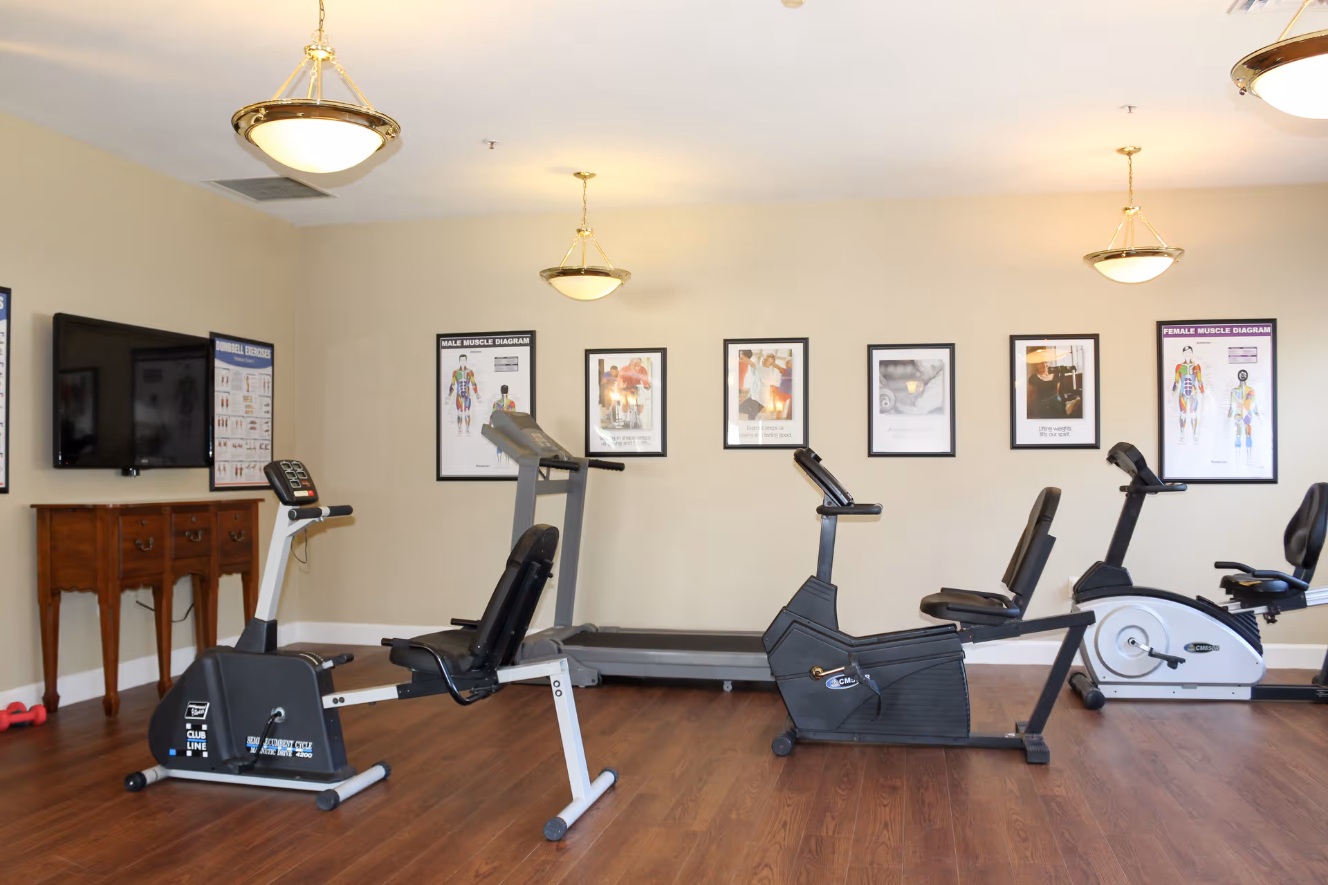 Fitness room with recumbent bikes, a treadmill, framed anatomy posters on the wall, a TV and wood floor.