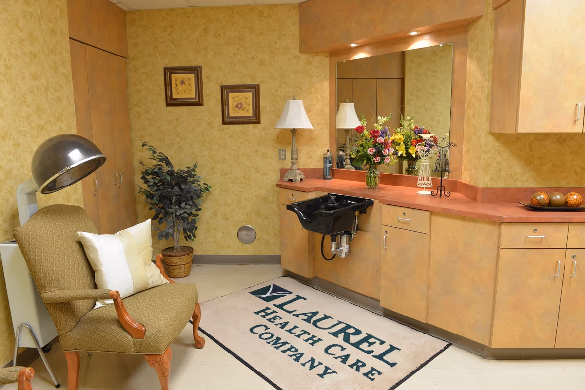 Interior room with a vintage hair dryer chair, a potted plant, a countertop with a black sink, a table lamp, a vase of flowers, decorative items, and a large mirror on the wall. The floor mat reads 'Laurel Health Care Company'.