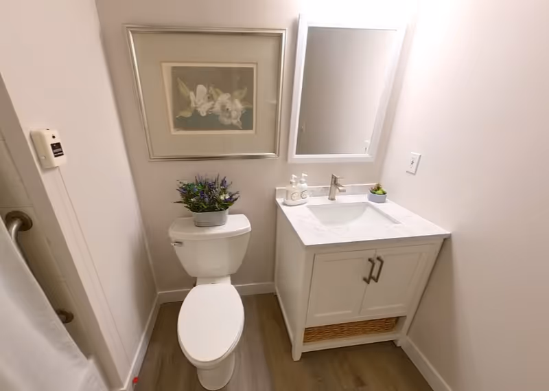A small bathroom featuring a white toilet with a potted plant on top, a white vanity with a marble countertop and a sink, a mirror above the sink, a soap dispenser, and a small potted succulent. There is a framed floral artwork hanging on the wall above the toilet, and a shower curtain partially visible on the left side.