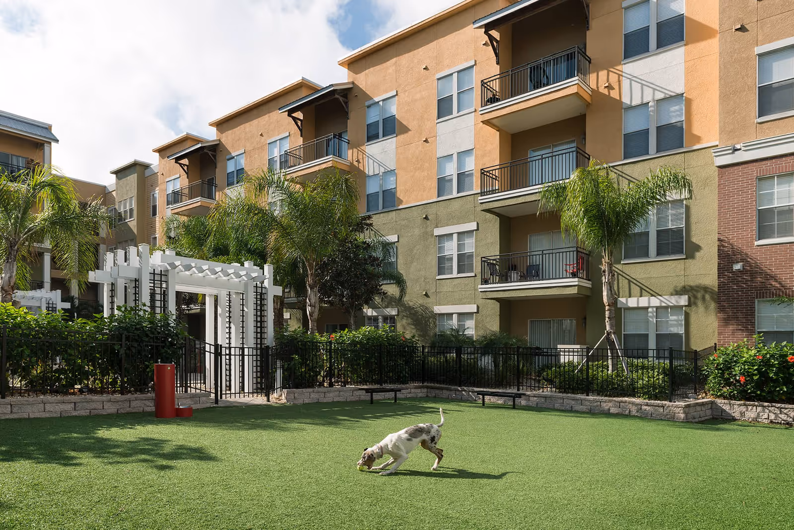 A dog playing with a ball on a green artificial turf lawn in front of a multi-story residential building with balconies and palm trees.