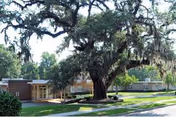 Single-story nursing home building with a large oak tree and grassy lawn in front.