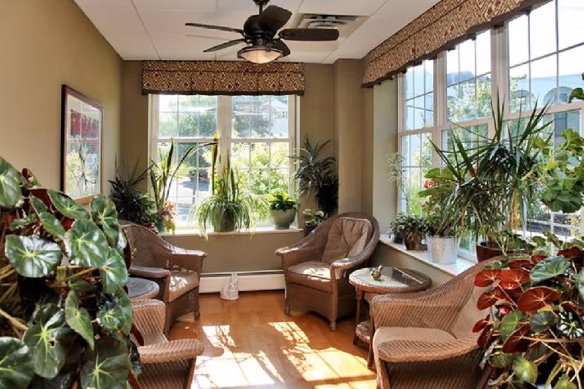 A sunlit sitting area with wicker chairs and small round tables surrounded by numerous green potted plants. Large windows with patterned valances allow natural light to fill the room, and a ceiling fan is mounted above.