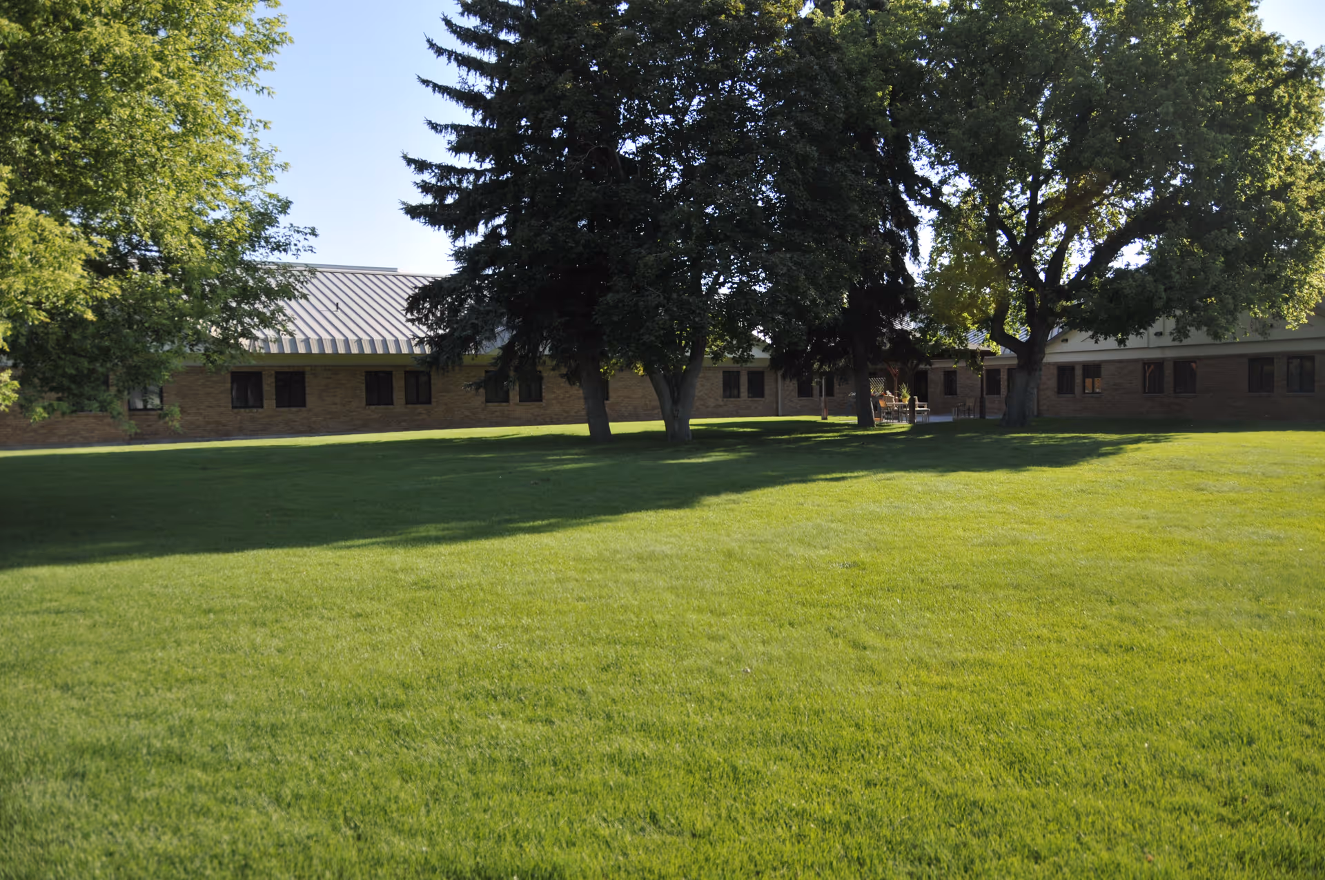 Single-story brick building viewed from a wide grassy lawn with several large trees in front under a clear sky.