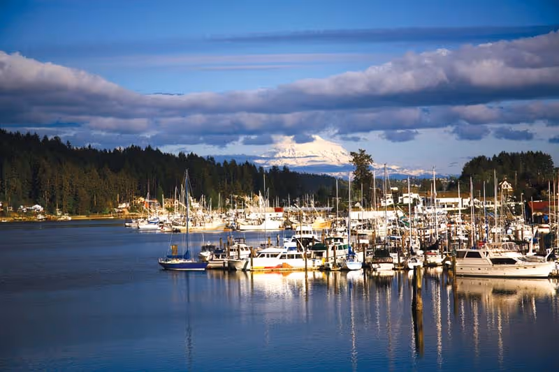 A scenic view of a marina filled with numerous boats docked on calm water, surrounded by forested land. In the background, there is a snow-capped mountain under a partly cloudy blue sky.