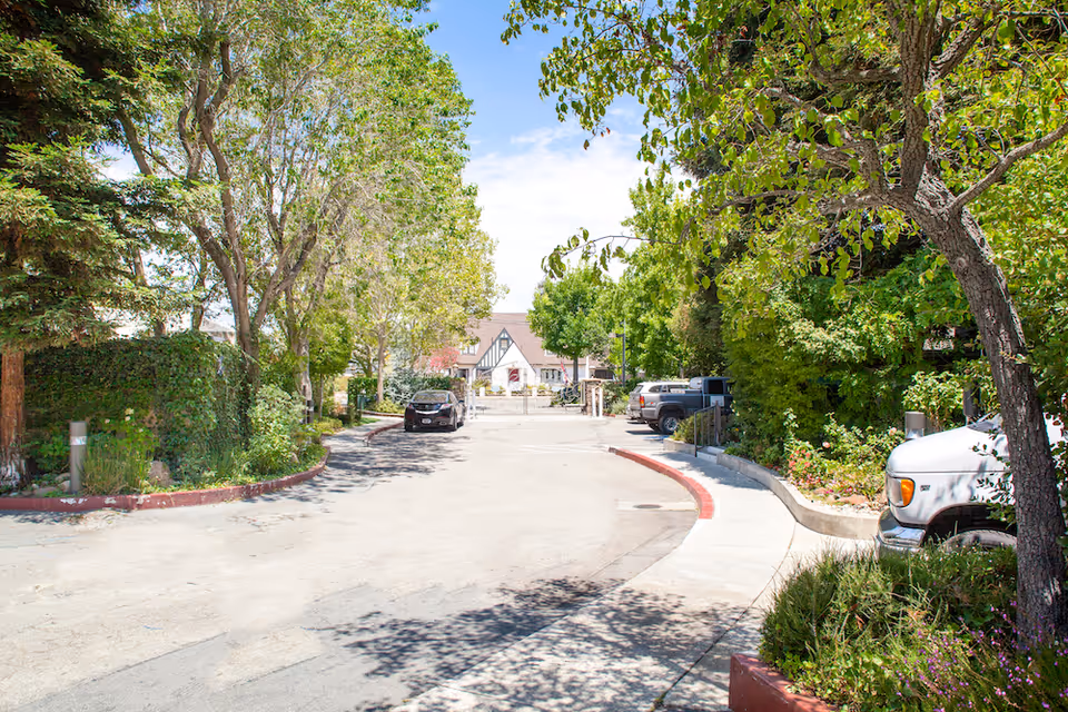 A driveway lined with trees and greenery on both sides leading to a building with a Tudor-style facade in the background. Several parked cars are visible along the driveway under a bright blue sky with some clouds.
