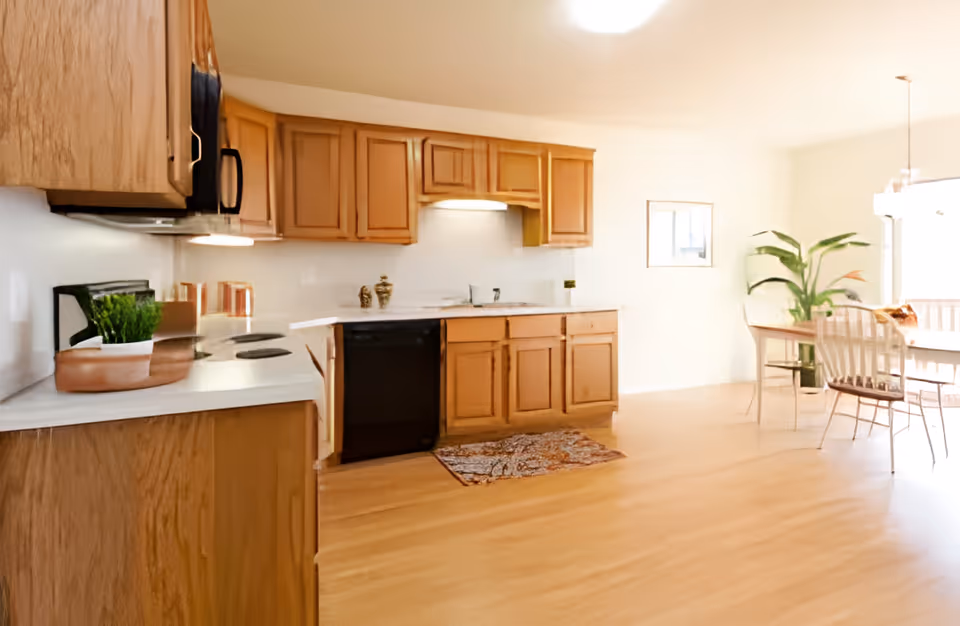 Bright kitchen area with wooden cabinets, white countertops, a black dishwasher, and a small rug on the wooden floor. In the background, there is a dining area with a table, chairs, and a large green plant near a window letting in natural light.