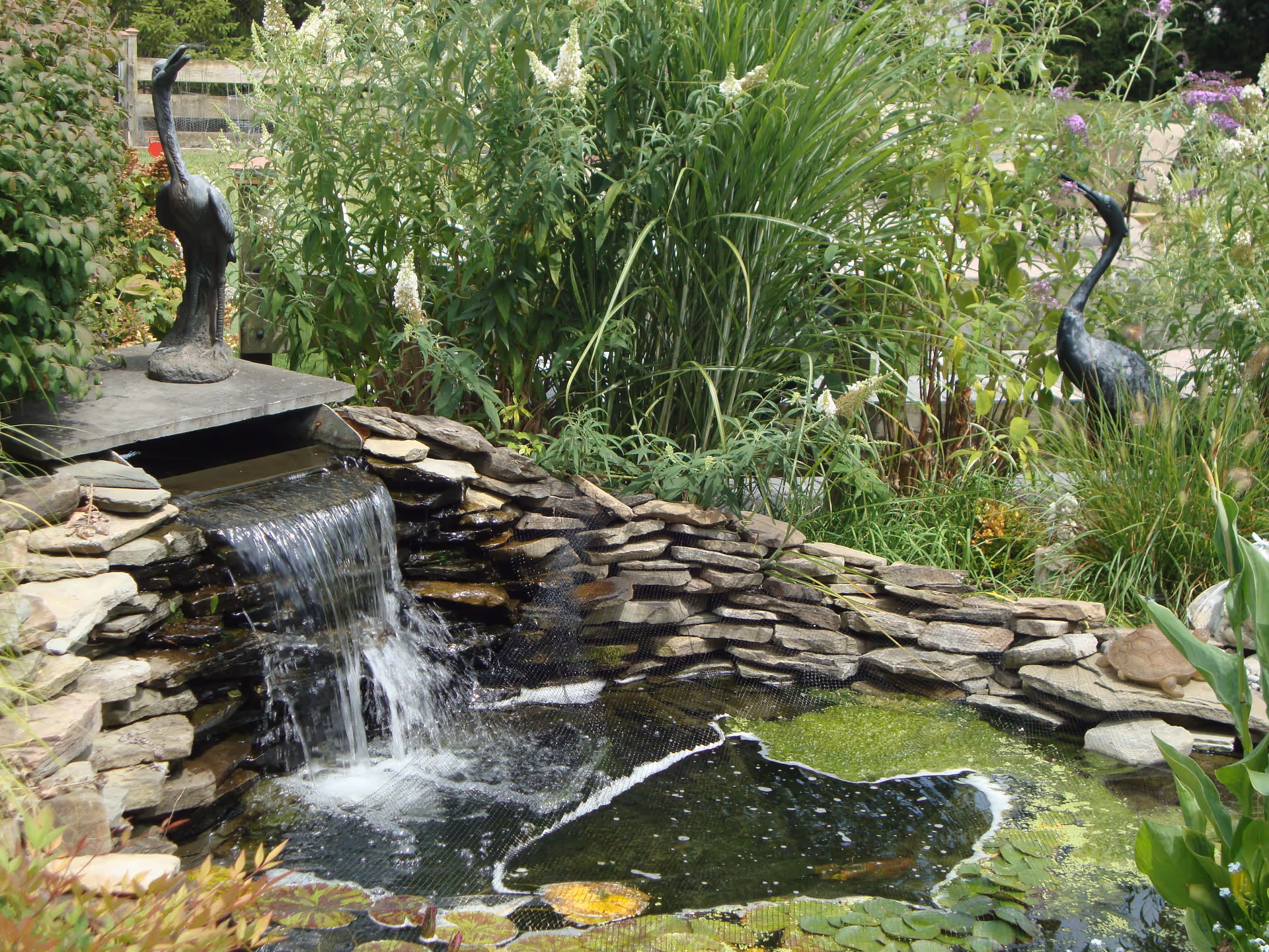 A small garden pond with a waterfall flowing over stacked stones, surrounded by lush green plants and two decorative bird statues on either side of the waterfall.