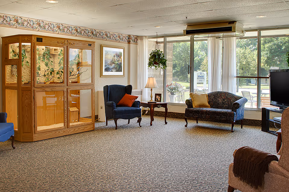A cozy living room area with patterned carpet, two armchairs with cushions, a small wooden side table with a lamp and framed photo, a wooden display cabinet with plants inside, large windows with sheer curtains letting in natural light, and a television on a stand.