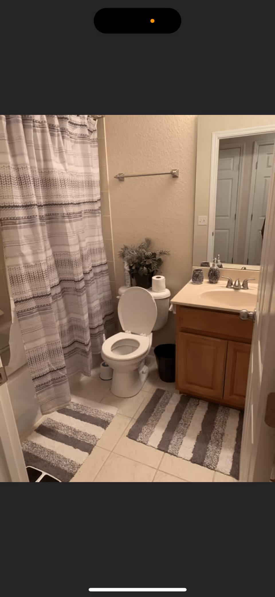 A bathroom with a white toilet with the lid open, a toilet paper roll on top of the tank, a small plant behind the toilet, a sink with a countertop and wooden cabinet below, a large mirror above the sink, a striped shower curtain, and two striped bath mats on the tiled floor.