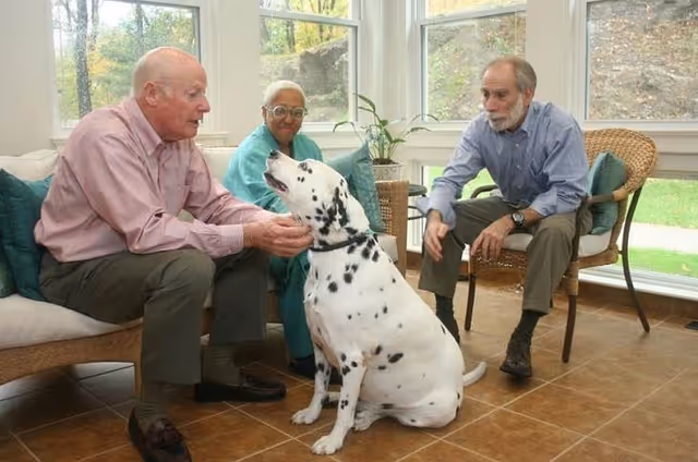 Three elderly people sitting in a sunlit room with large windows. Two men and one woman are interacting with a white Dalmatian dog with black spots. The room has tiled floors and wicker furniture with cushions.