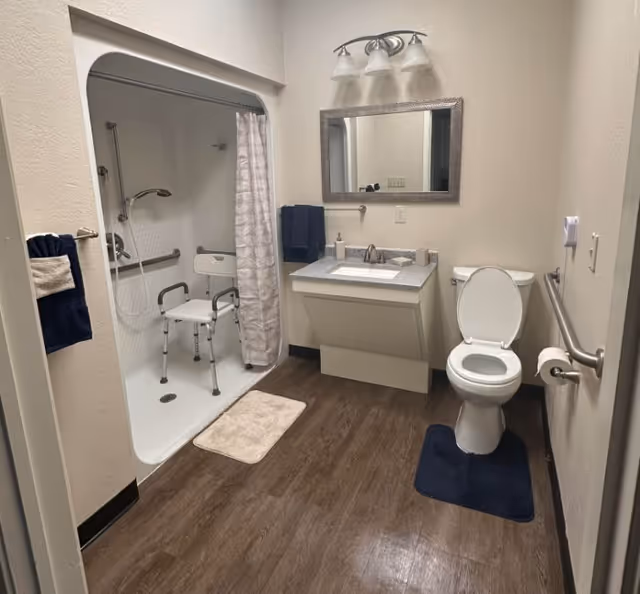A clean and accessible bathroom featuring a walk-in shower with a white shower chair and grab bars, a toilet with a grab bar beside it, a sink with a granite countertop, a mirror above the sink, and dark blue and beige towels hanging on the walls. The floor has a wood-like finish with small rugs near the shower and toilet.