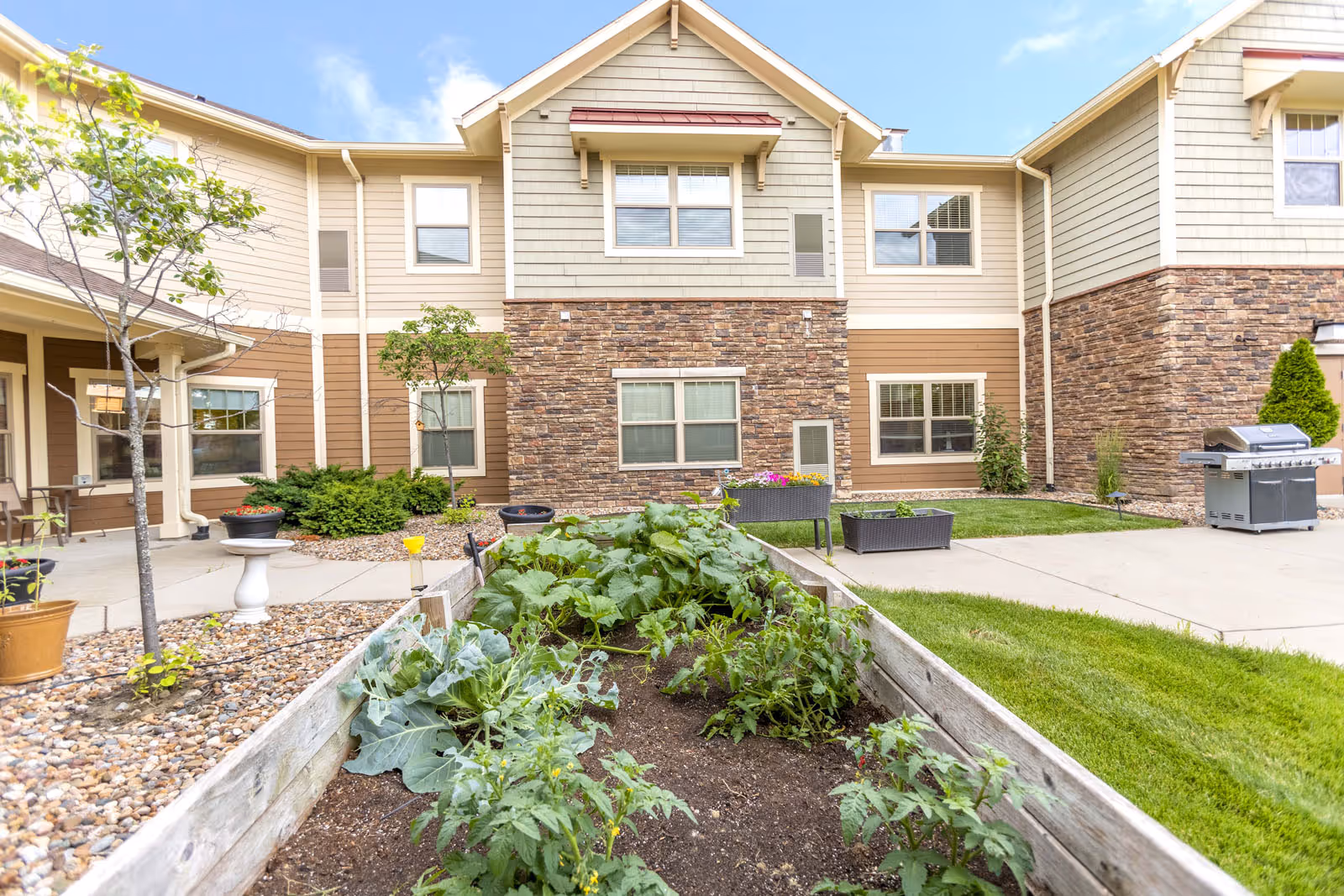 Outdoor garden area with raised garden beds containing various plants and vegetables, surrounded by a paved walkway and a lawn. The background shows the exterior of a senior living facility building with beige and brown siding, stone accents, and several windows. There is also a barbecue grill on the right side of the image.