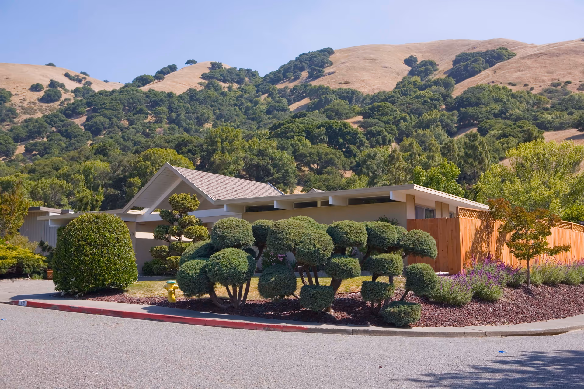 Exterior view of a single-story building with a slanted roof, surrounded by neatly trimmed bushes and trees, with dry hills and green trees in the background under a clear blue sky.