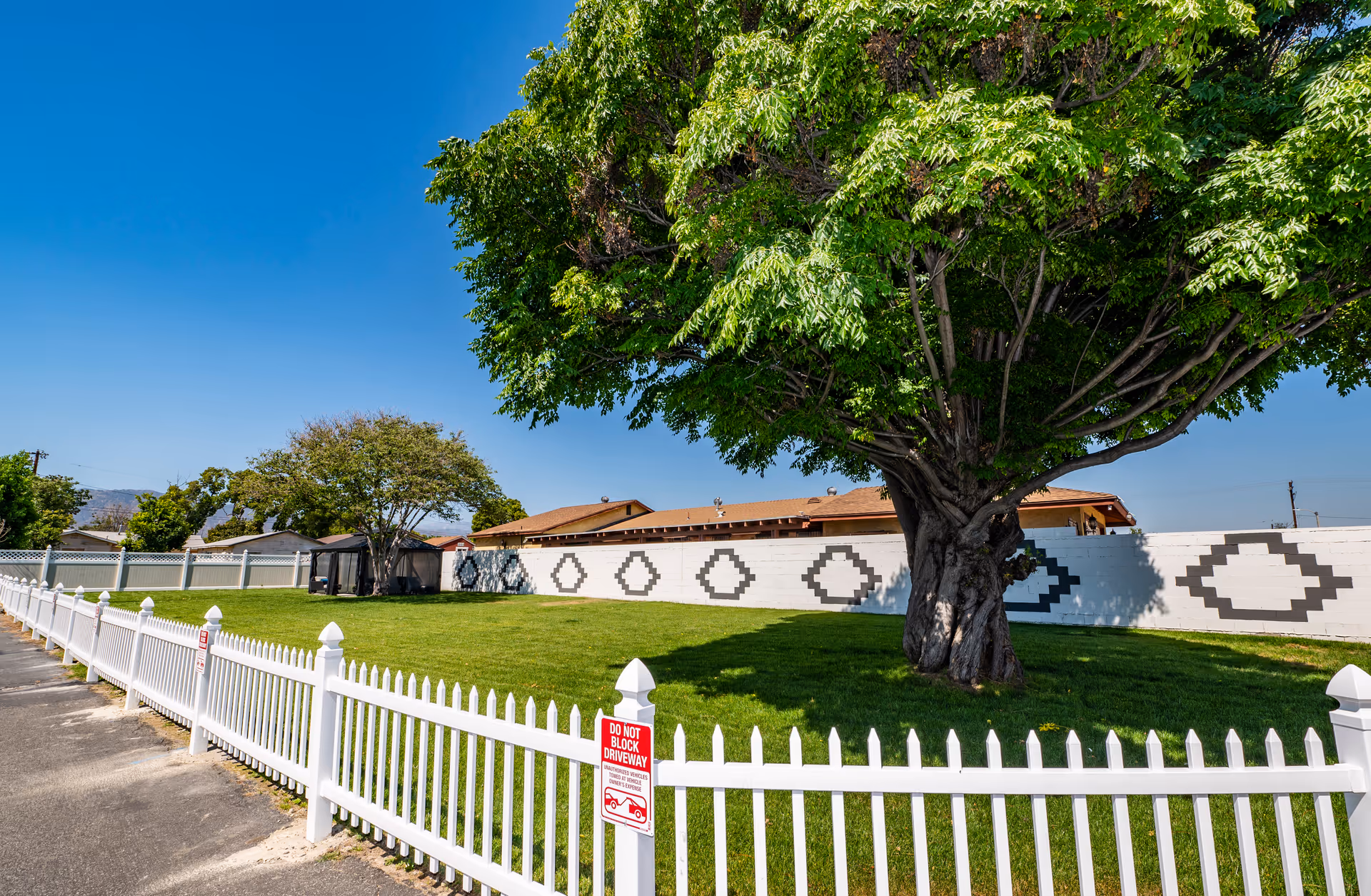A grassy yard with a large tree behind a white picket fence and a patterned white wall under a clear blue sky.