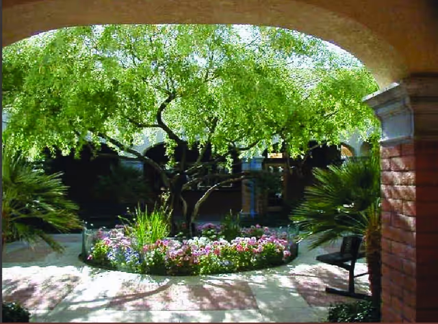 Arched walkway framing a sunny courtyard with a central flowerbed, small trees, and benches.