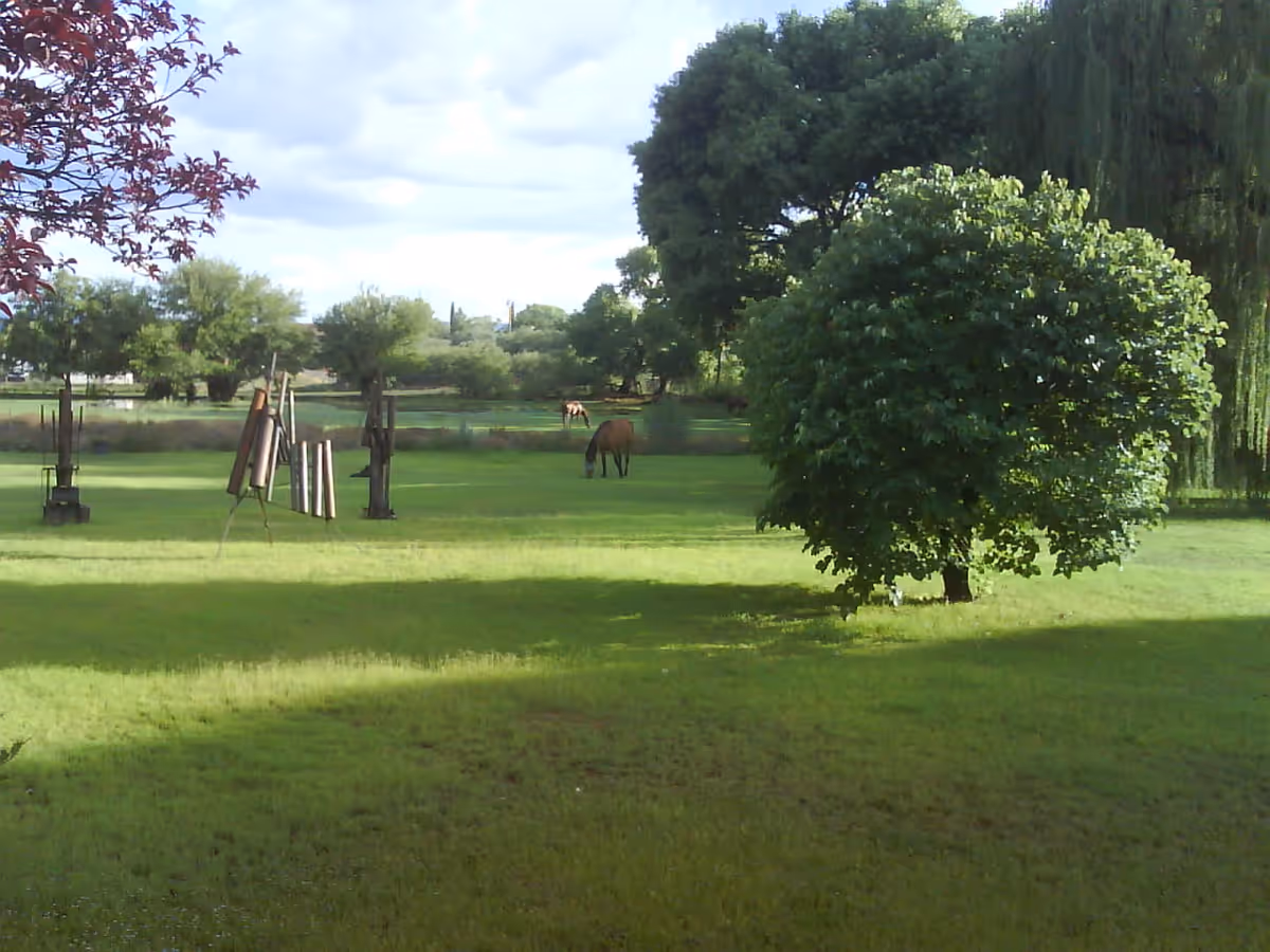 A green outdoor area with well-maintained grass, several trees, and two horses grazing in the background under a partly cloudy sky.
