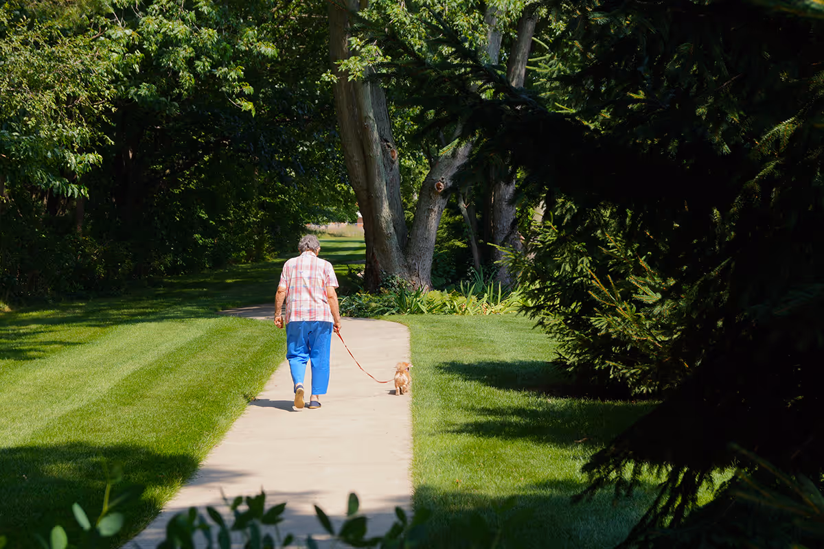 An elderly person walking a small dog on a leash along a paved path surrounded by green grass and trees in a park-like outdoor setting.