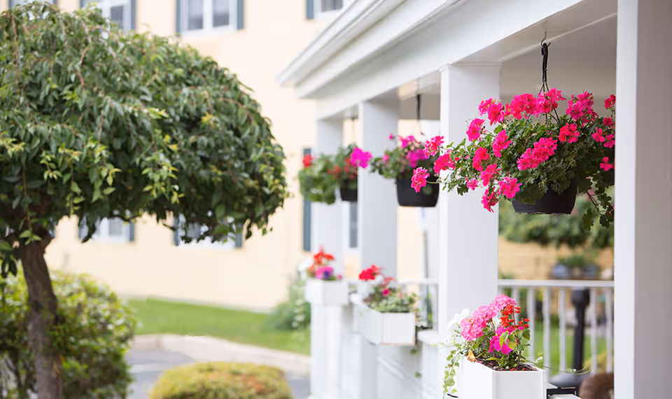 Pink hanging baskets and railing planters decorate a white porch outside a residential building with landscaped grounds.