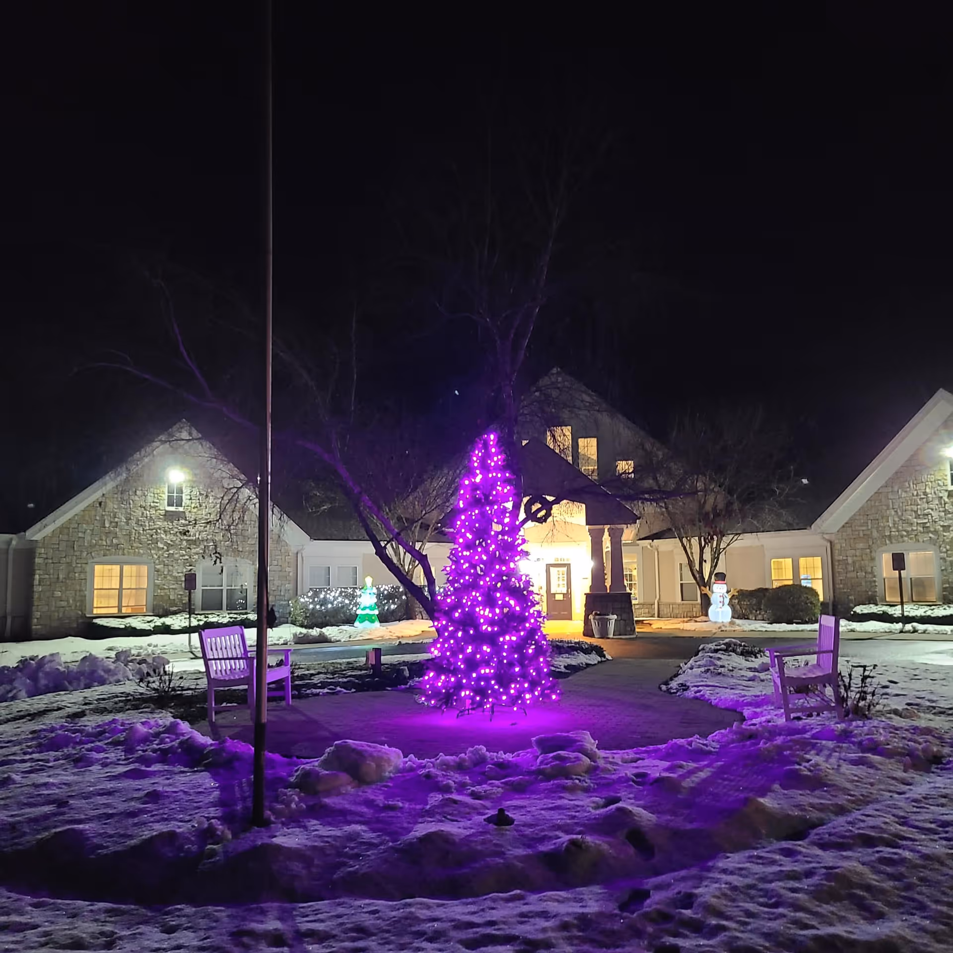 Night view of Buckingham Heights Memory Care facility entrance decorated for winter holidays with a purple-lit Christmas tree in the center, snow on the ground, two benches on either side, and illuminated holiday decorations including a snowman and a green Christmas tree near the building.