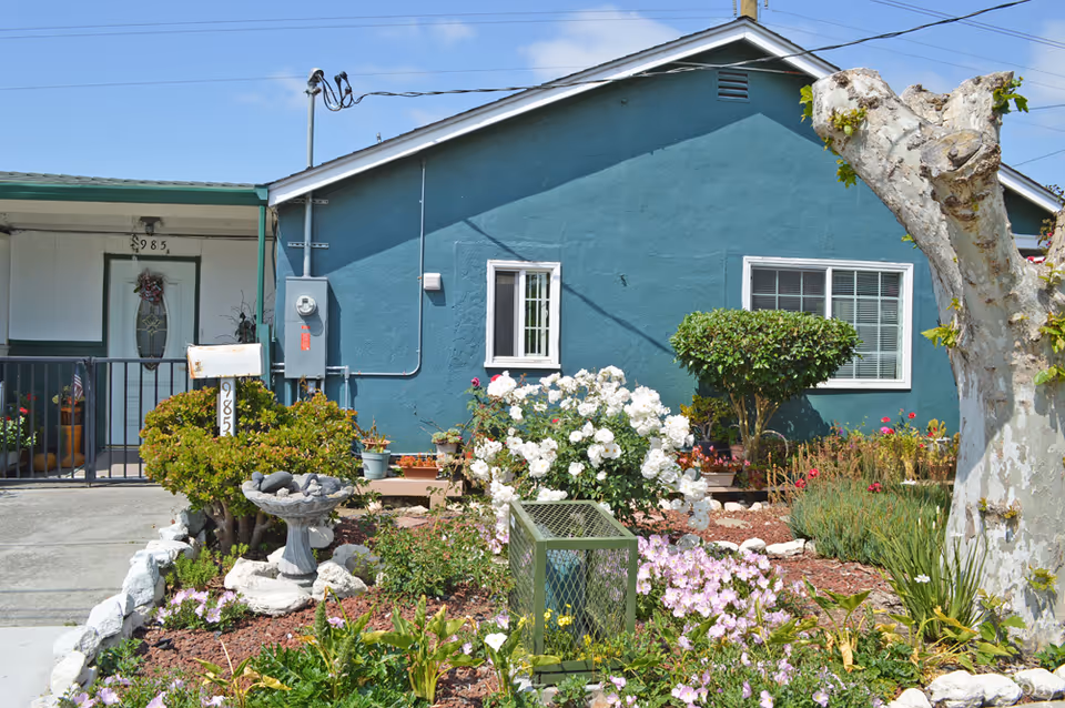 Front exterior of a teal single-story house with a small garden, flowering shrubs, a mailbox, and a tree.