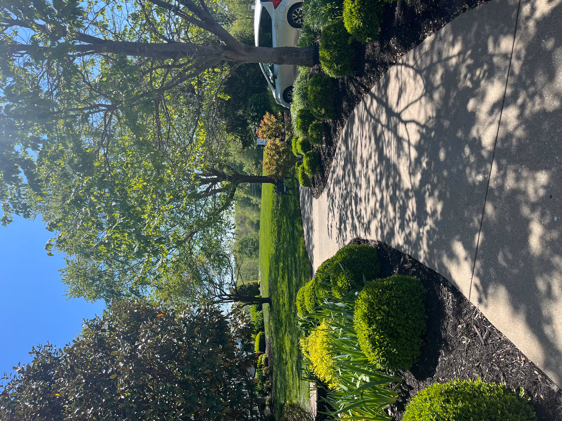 Sunlit concrete walkway through a landscaped garden with trimmed shrubs, trees, and a grassy lawn.