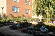 Outdoor garden area with stone-bordered flower beds containing various plants and flowers, adjacent to a multi-story brick building with several windows. A tree with drooping branches is visible on the right side.